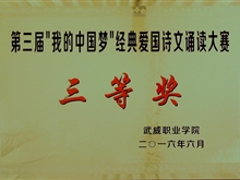 ”我的中國“夢(mèng)經(jīng)典愛國詩文誦讀大賽三等獎(jiǎng)