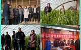 現(xiàn)代農(nóng)業(yè)技術(shù)系開展“喜迎己亥新春佳節(jié)、送科技送文化下鄉(xiāng)”主題黨日活動